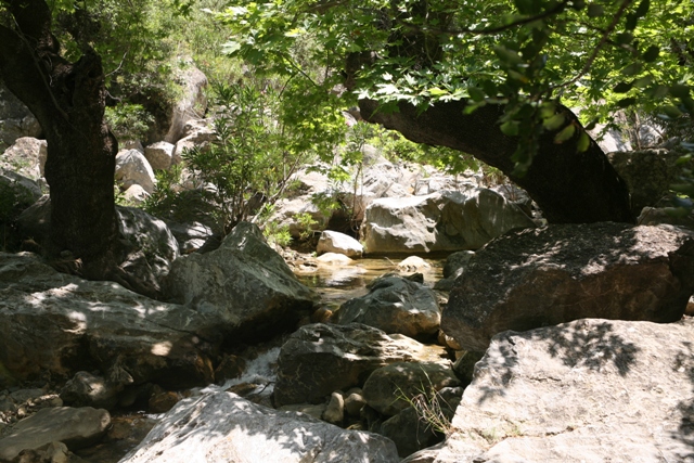 Trizina - Mountain stream at Devil's Bridge